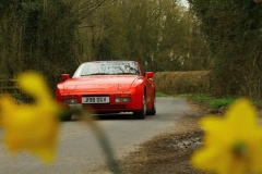 19_HRCR_Daffodil-699