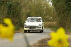 19_HRCR_Daffodil-703