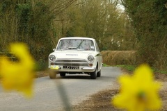 19_HRCR_Daffodil-704