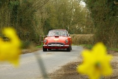 19_HRCR_Daffodil-707
