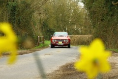 19_HRCR_Daffodil-708
