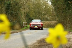 19_HRCR_Daffodil-709