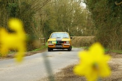 19_HRCR_Daffodil-710