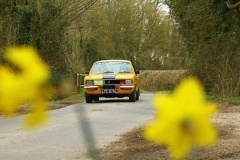 19_HRCR_Daffodil-711