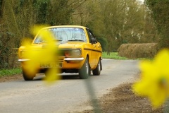 19_HRCR_Daffodil-712