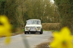 19_HRCR_Daffodil-722