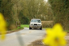 19_HRCR_Daffodil-725