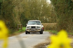 19_HRCR_Daffodil-726
