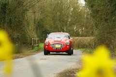 19_HRCR_Daffodil-730