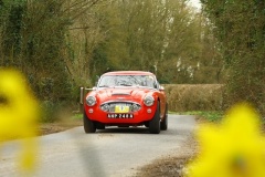 19_HRCR_Daffodil-732
