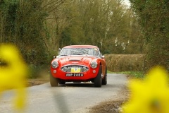 19_HRCR_Daffodil-733