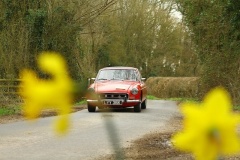 19_HRCR_Daffodil-734