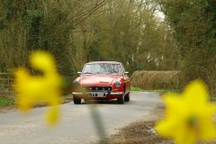 19_HRCR_Daffodil-735