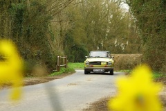19_HRCR_Daffodil-738