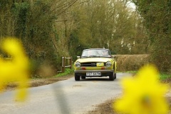 19_HRCR_Daffodil-741