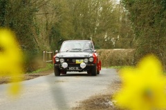 19_HRCR_Daffodil-745