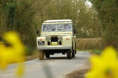 19_HRCR_Daffodil-749