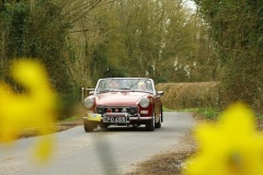 19_HRCR_Daffodil-752