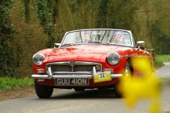19_HRCR_Daffodil-754