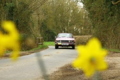 19_HRCR_Daffodil-755