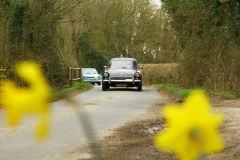 19_HRCR_Daffodil-758