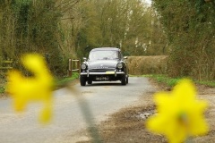 19_HRCR_Daffodil-759