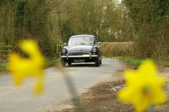 19_HRCR_Daffodil-760