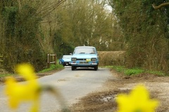 19_HRCR_Daffodil-761
