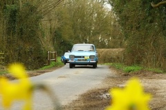 19_HRCR_Daffodil-762