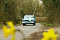 19_HRCR_Daffodil-763