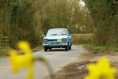 19_HRCR_Daffodil-764