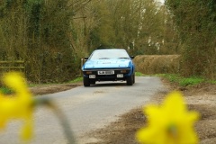 19_HRCR_Daffodil-765