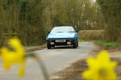 19_HRCR_Daffodil-766