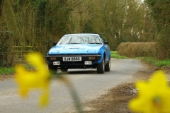 19_HRCR_Daffodil-768