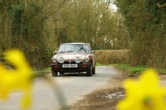 19_HRCR_Daffodil-772