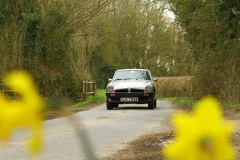 19_HRCR_Daffodil-774