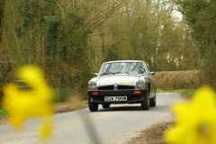 19_HRCR_Daffodil-776
