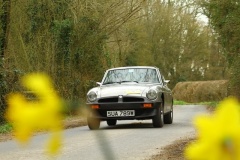 19_HRCR_Daffodil-777
