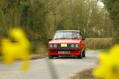 19_HRCR_Daffodil-780