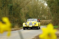 19_HRCR_Daffodil-785