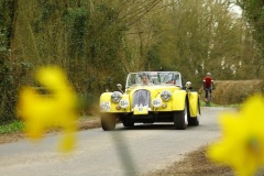 19_HRCR_Daffodil-786