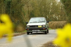 19_HRCR_Daffodil-789