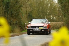19_HRCR_Daffodil-792