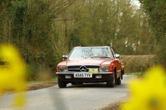 19_HRCR_Daffodil-793