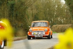 19_HRCR_Daffodil-796