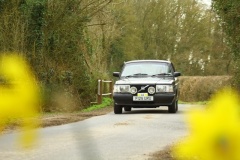 19_HRCR_Daffodil-799