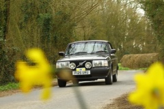 19_HRCR_Daffodil-801