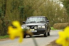 19_HRCR_Daffodil-802