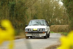 19_HRCR_Daffodil-807