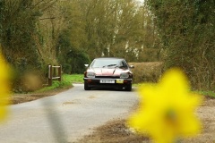 19_HRCR_Daffodil-809